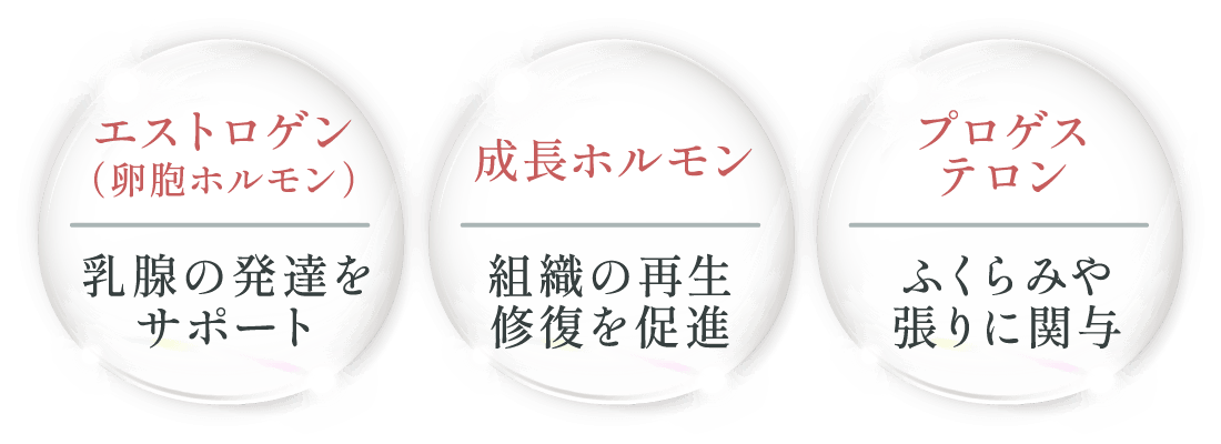 【エストロゲン（卵胞ホルモン）】乳腺の発達をサポート、【成長ホルモン】組織の再生修復を促進、【プロゲステロン】ふくらみや張りに関与