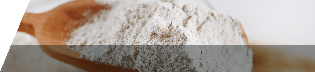 グルタチオン酵母